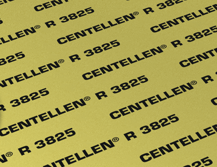 Gasket CENTELLEN R 3825