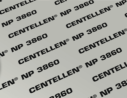 Gasket CENTELLEN NP 3860